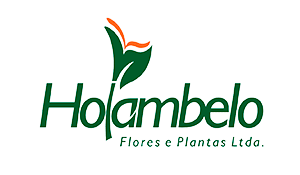Logo da empresa Holambelo